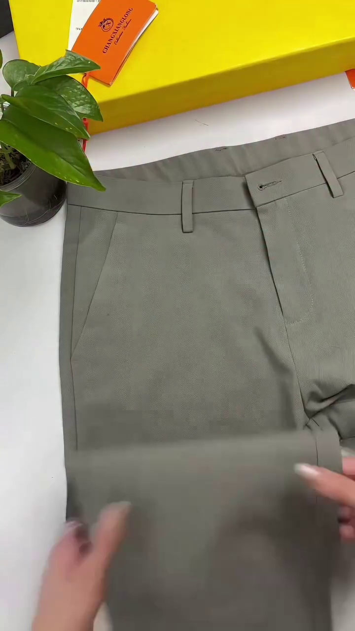 Men High-Rise Formal Trousers